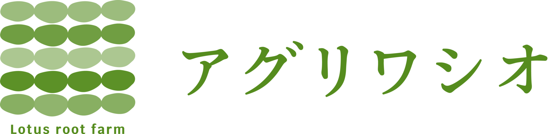 愛西れんこん｜株式会社アグリワシオ